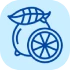 Citrus icon